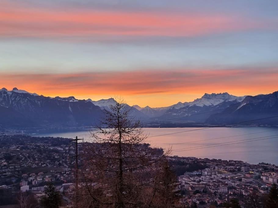 Le Toit De Chardonne - Entre Alpes Et Lac Leman Exteriör bild