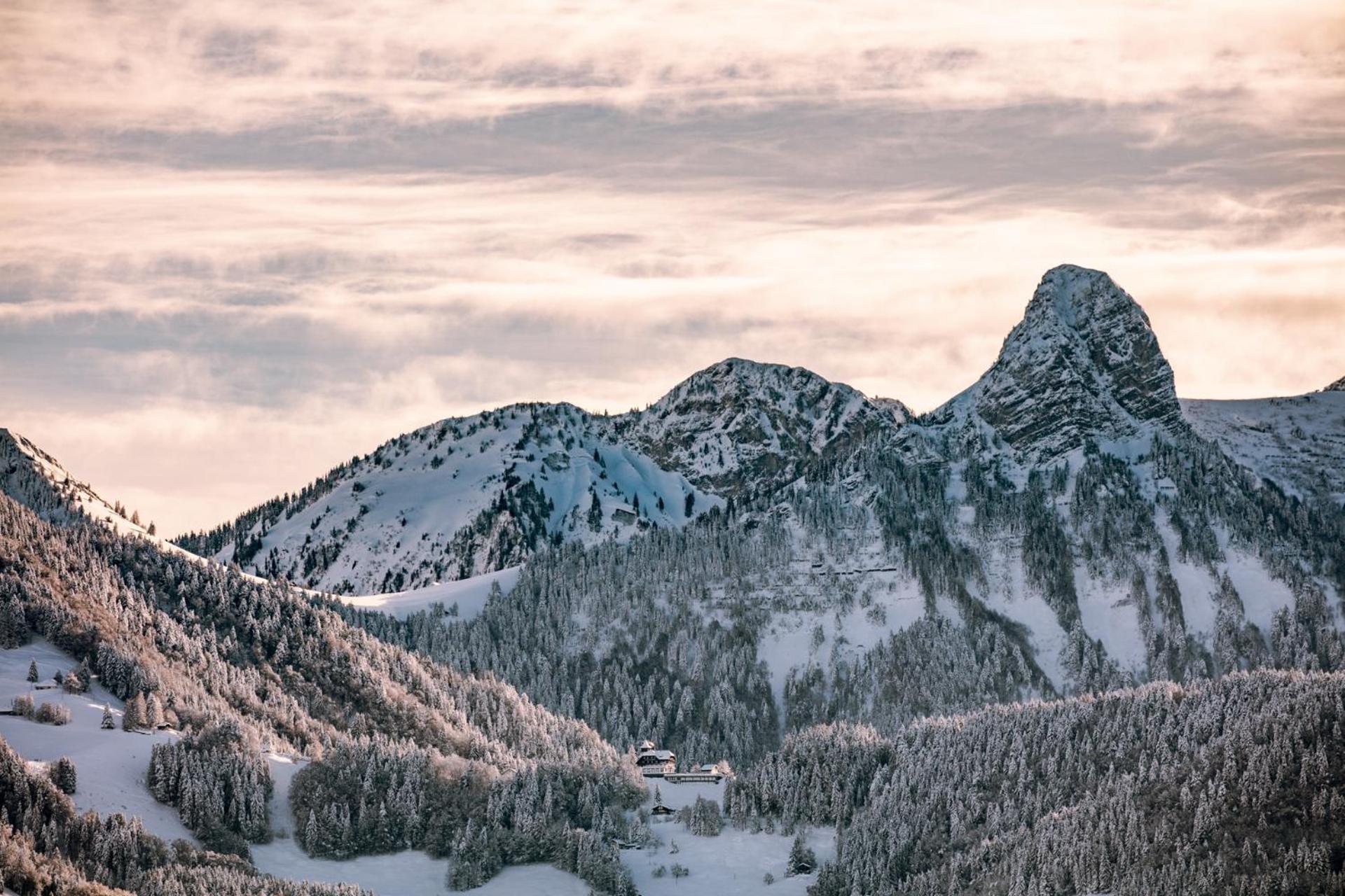 Le Toit De Chardonne - Entre Alpes Et Lac Leman Exteriör bild