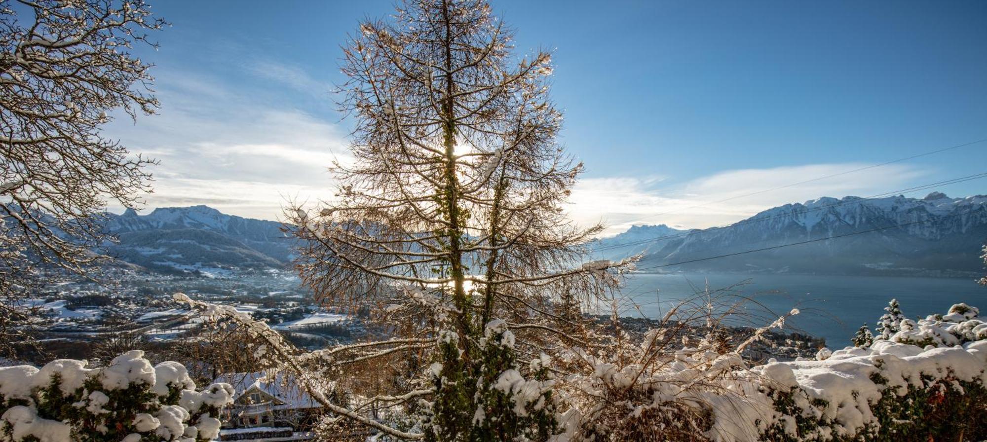 Le Toit De Chardonne - Entre Alpes Et Lac Leman Exteriör bild